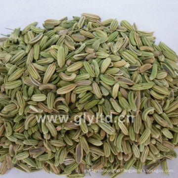 New Crop Clean Well Dried No Moldy Fennel Seeds